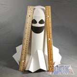 burial shroud apparition