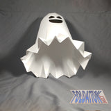 burial shroud apparition