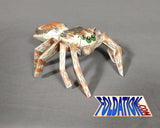 jumping spider