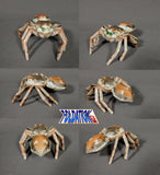 jumping spider