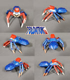 jumping spider