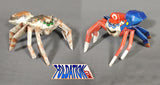 jumping spider