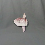 Hoodwinker Sunfish
