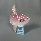Hoodwinker Sunfish