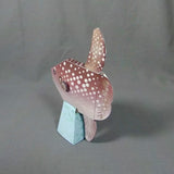 Hoodwinker Sunfish