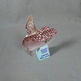 Hoodwinker Sunfish