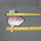 Hoodwinker Sunfish
