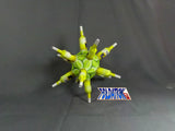 Corona Hedron