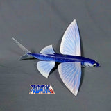 Flying Fish