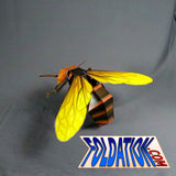 Giant Asian Hornet