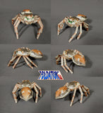 jumping spider