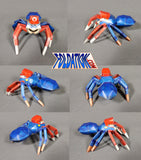 jumping spider