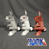 bunny