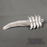 demodex