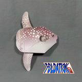 Hoodwinker Sunfish
